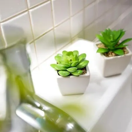 公寓 Casa Da Tia Douro