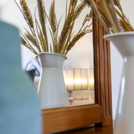 Casa Da Tia Douro 公寓