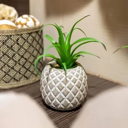 Casa Da Tia Douro 公寓 *