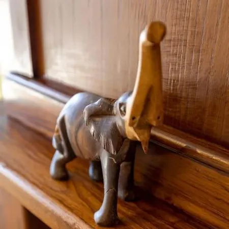 Casa Da Tia Douro Lejlighed Peso da Régua