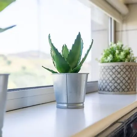 Casa Da Tia Douro 公寓 *