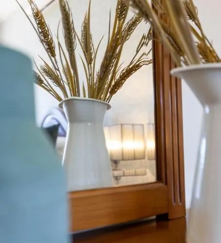 Casa Da Tia Douro Appartement