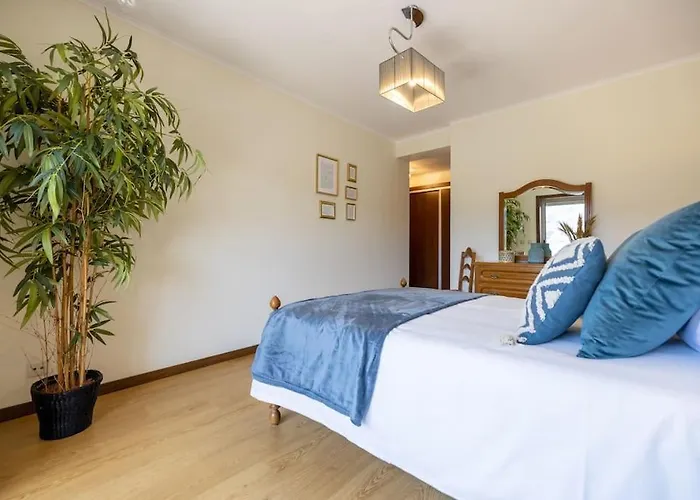 Casa Da Tia Douro Apartment Peso da Regua