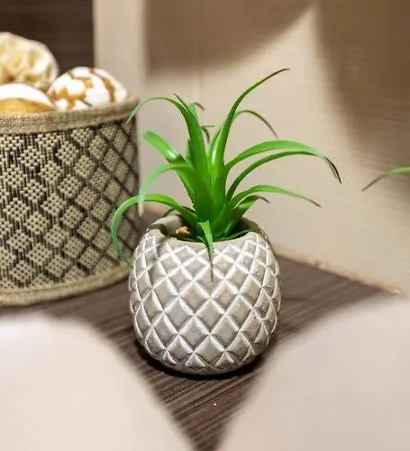 Casa Da Tia Douro Apartment *