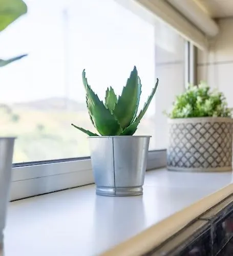 Casa Da Tia Douro Apartment *